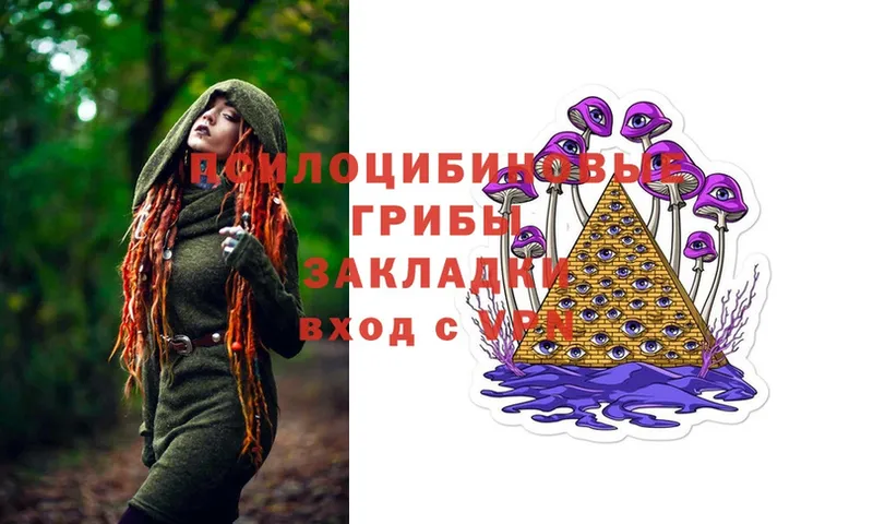 OMG вход  Новодвинск  Псилоцибиновые грибы MAGIC MUSHROOMS 